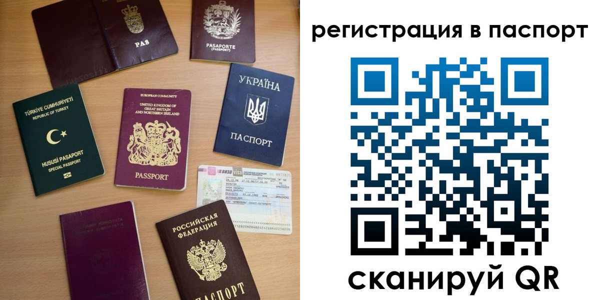 прописка поиск в Краснознаменске